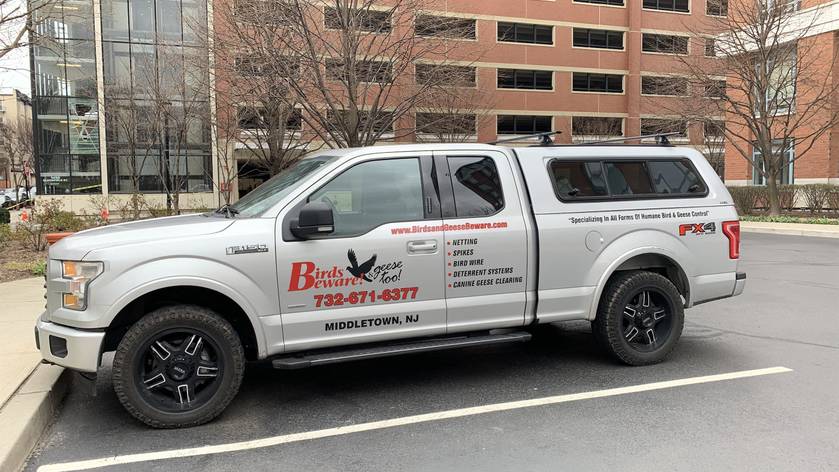 Pickup truck for Birds and Geese Beware Inc
